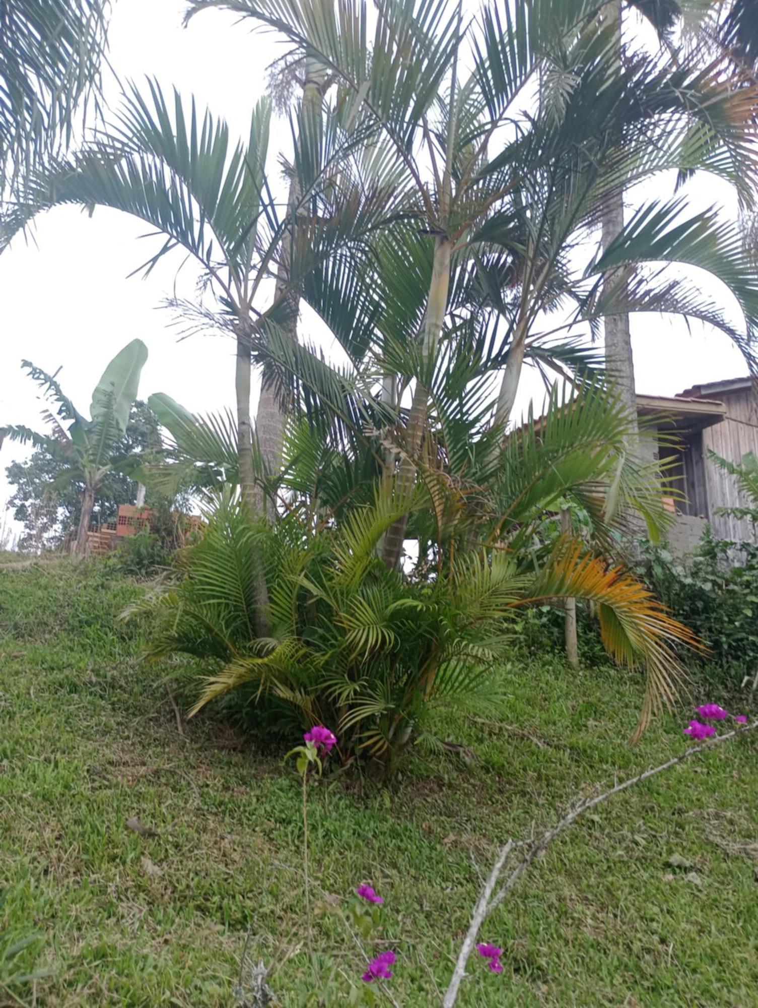 Villa Familia Cataneo Lauro Muller Exterior foto